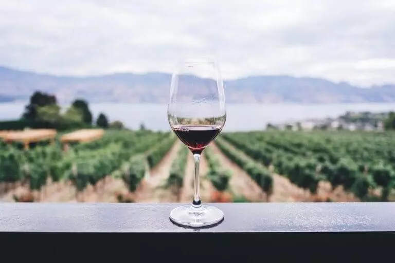 A glass of wine on a balcony overlooking a vineyard.