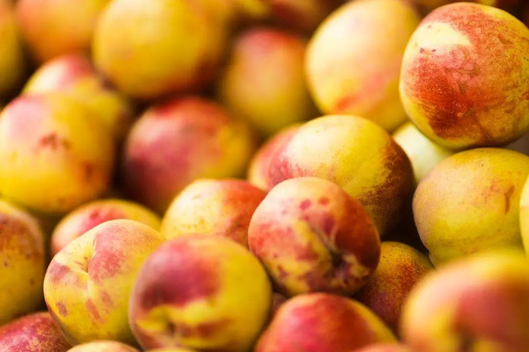 A close up of a bunch of peaches.