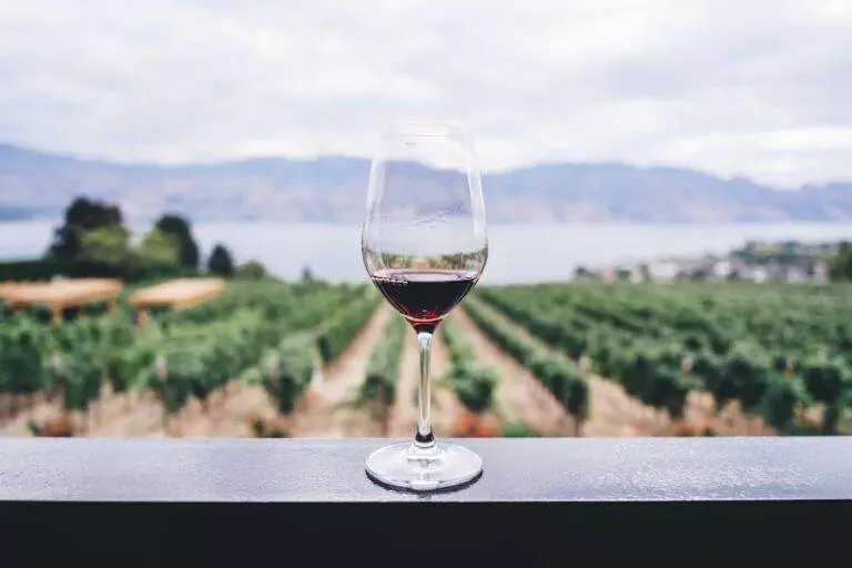 Glass of red wine on a ledge overlooking a vineyard with hills and a lake in the background.