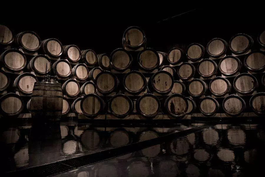 A dimly lit cellar with numerous wooden barrels stacked against a wall, their reflections visible on the shiny floor.